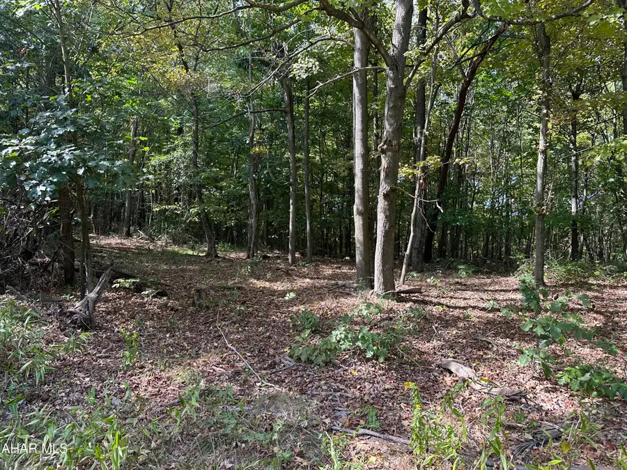 Lot 1 Glade Pike Estates, Manns Choice, PA 15550 - #2