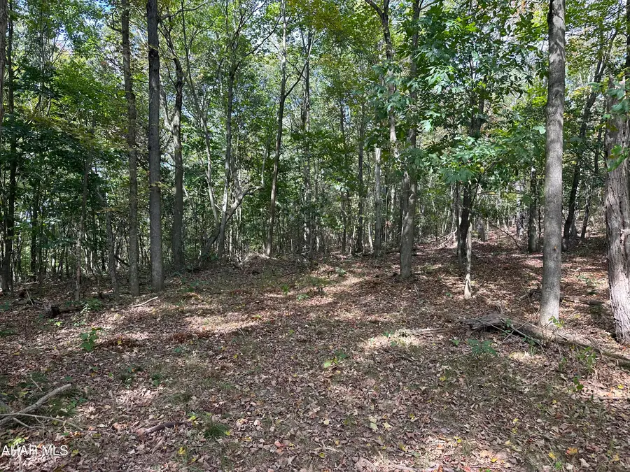 Lot 1 Glade Pike Estates, Manns Choice, PA 15550 - #3