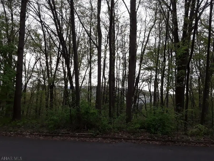 305 Ridge Ave., Altoona, PA 16602 - #3