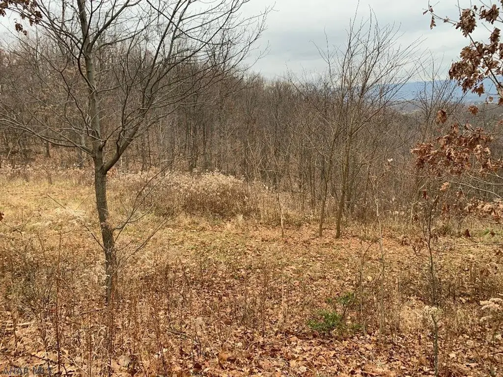 Lot #31 Granada Way, Altoona, PA 16601 - #1
