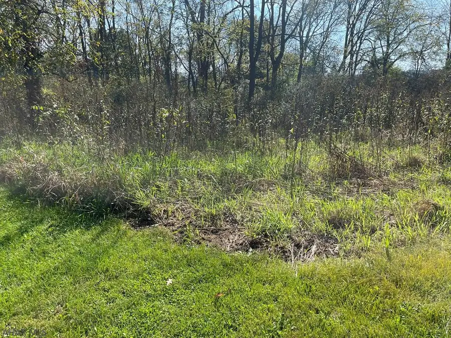 Off Egolf Road, Bedford, PA 15522 - #2