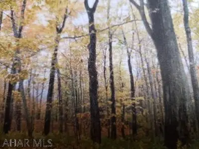 193-L Ridge Run Road, Claysburg, PA 16625 - #2