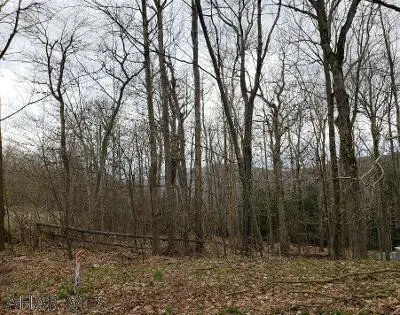 193-L Ridge Run Road, Claysburg, PA 16625 - #3