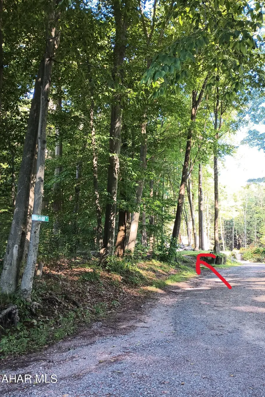 0 Girard Street, Cresson, PA 16630 - #3