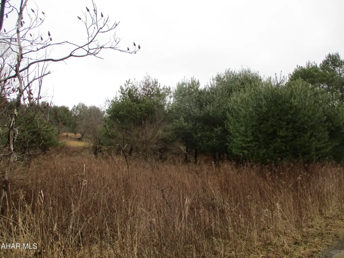 Na Mcclincy Road, Olanta, PA 16863 - #1