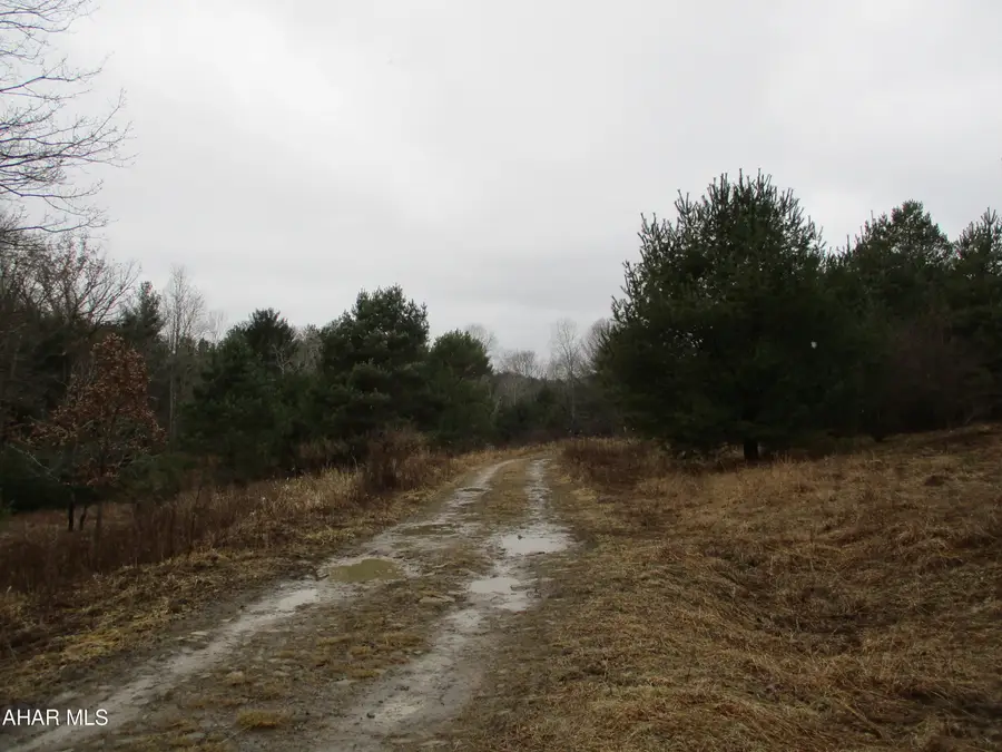 Na Mcclincy Road, Olanta, PA 16863 - #2