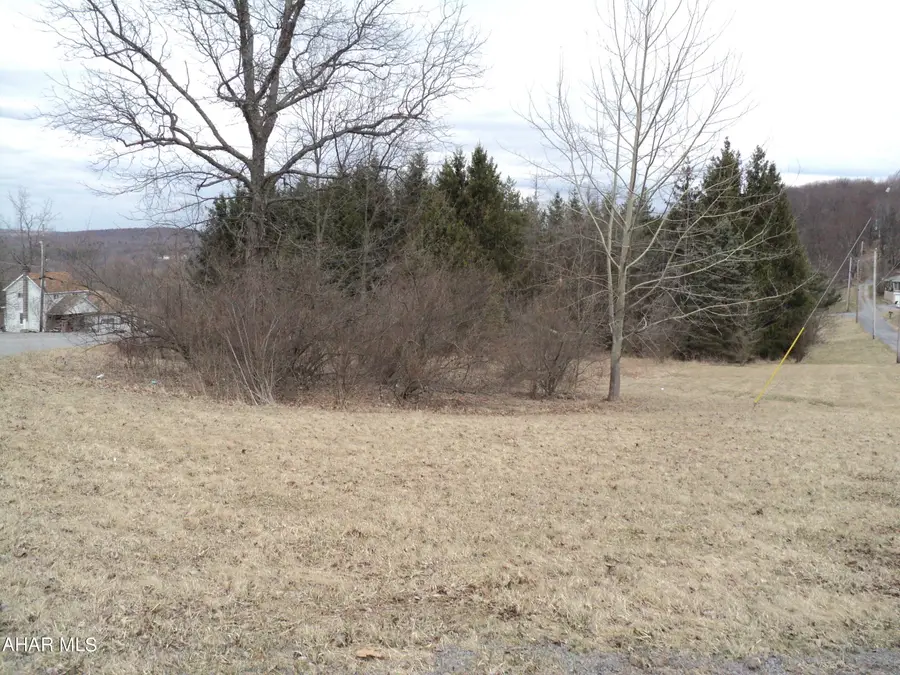 00 Scanlon Hill Road, Lilly, PA 15938 - #3