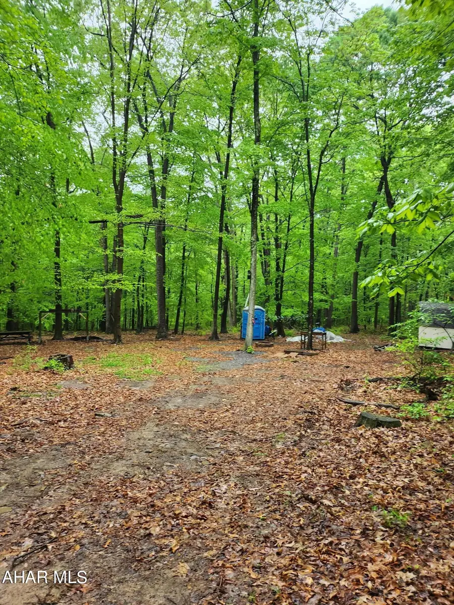 0 Mosquito Hollow Road, Six Mile Run, PA 16679 - #2