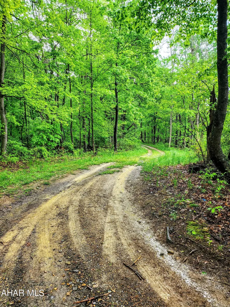 0 Mosquito Hollow Road, Six Mile Run, PA 16679 - #3