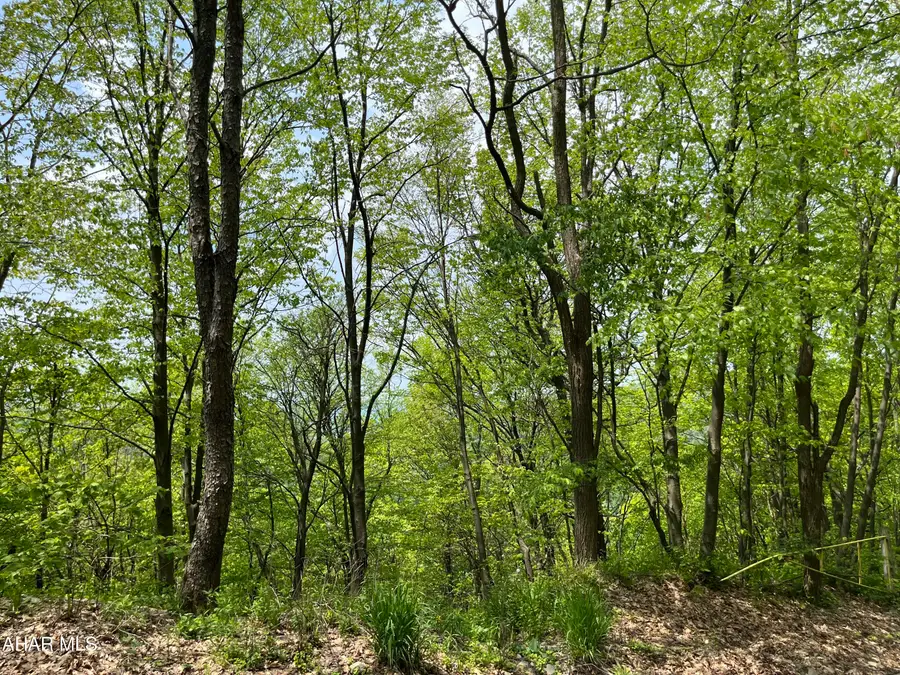 00 Iron Masters Road, Claysburg, PA 16625 - #3