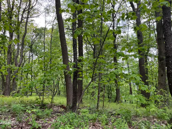 000 Little Valley Road, Claysburg, PA 16625