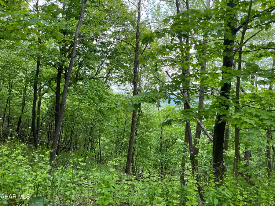 000 Little Valley Road, Claysburg, PA 16625 - #2