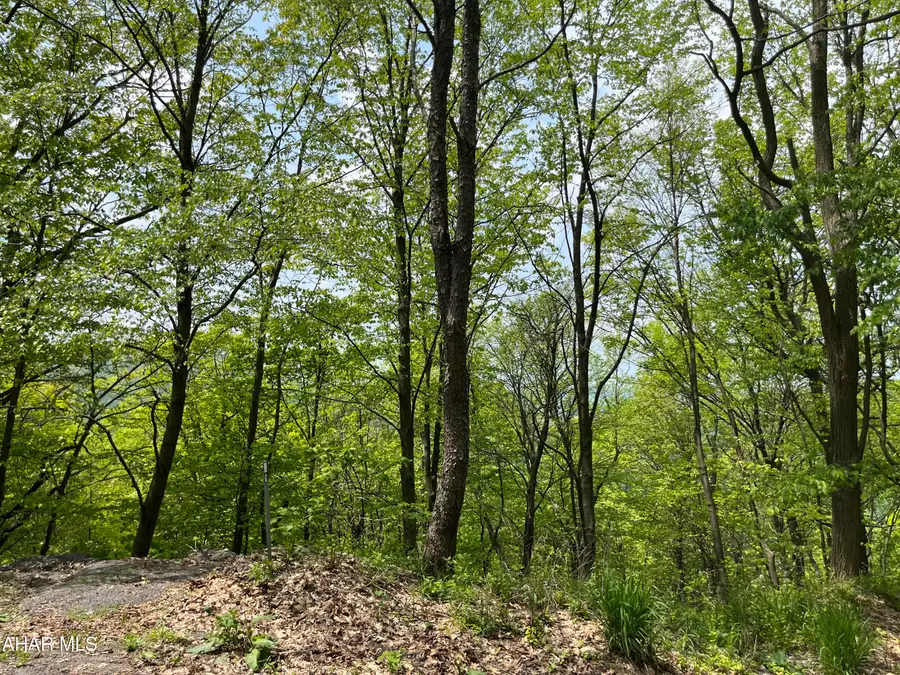 000 Little Valley Road, Claysburg, PA 16625 - #3