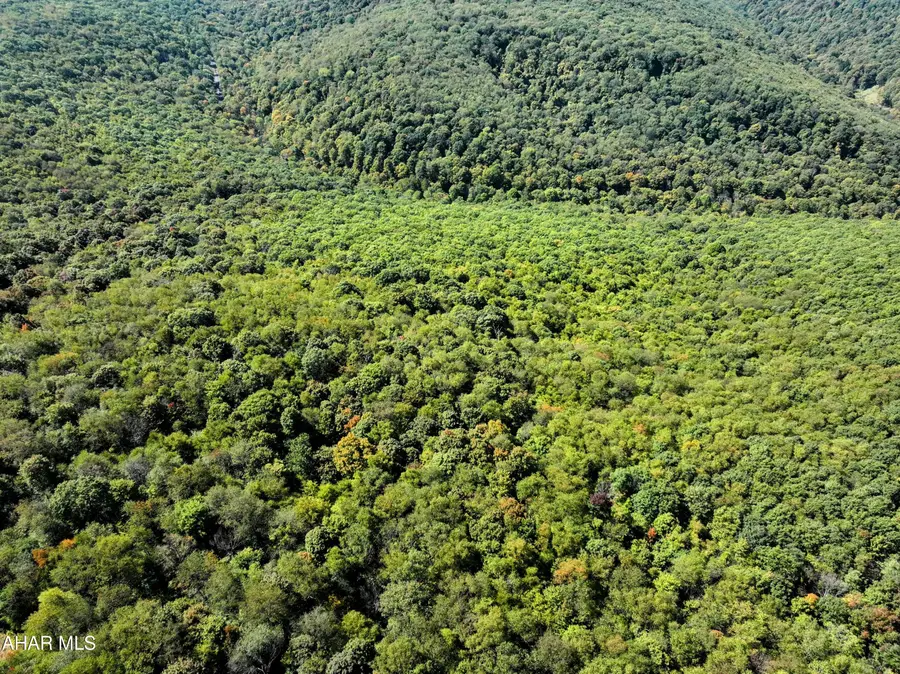 1849 Poplar Road, Duncansville, PA 16635 - #2