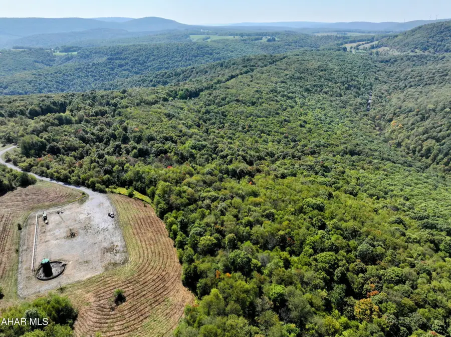 1849 Poplar Run Road, Duncansville, PA 16635 - #3