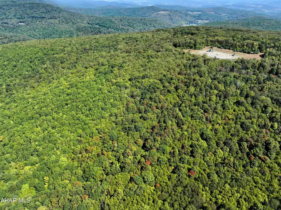 1849 Poplar Run Road, Duncansville, PA 16635 - #3