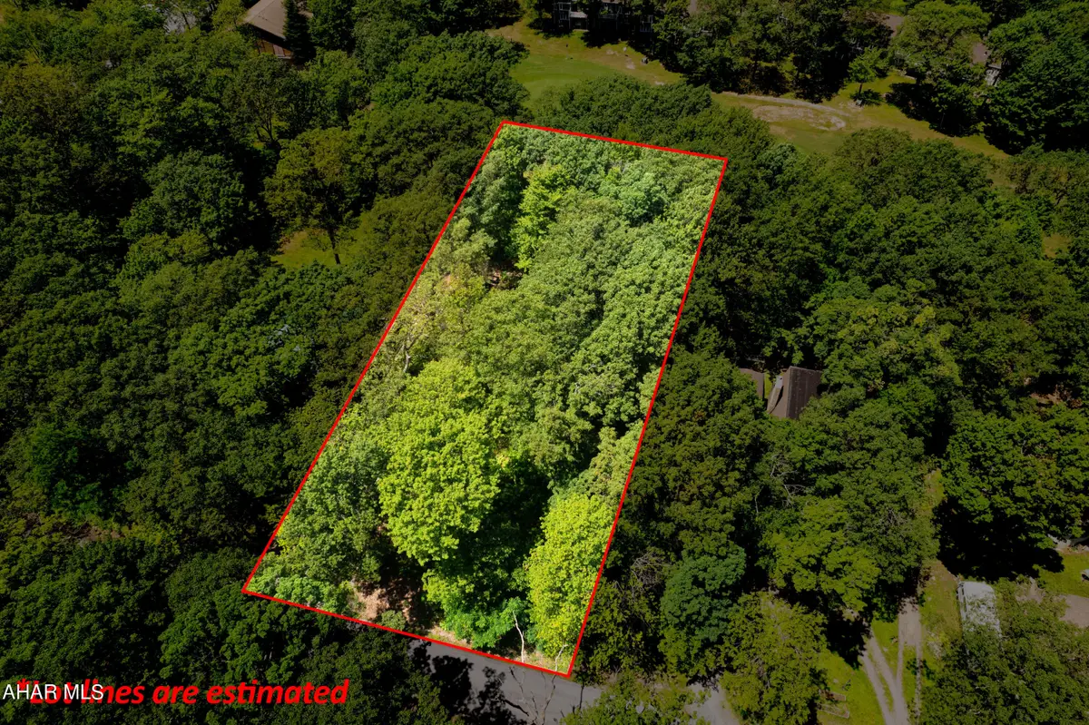 0000 Overland Pass Road, Claysburg, PA 16625 - #1