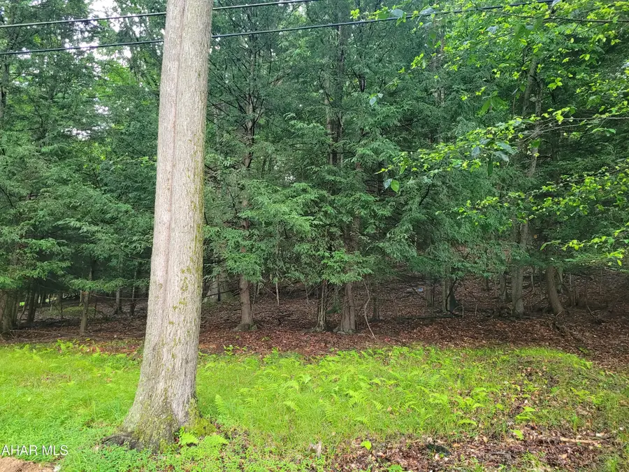 257-265 Red Oak Road, Flinton, PA 16640 - #2