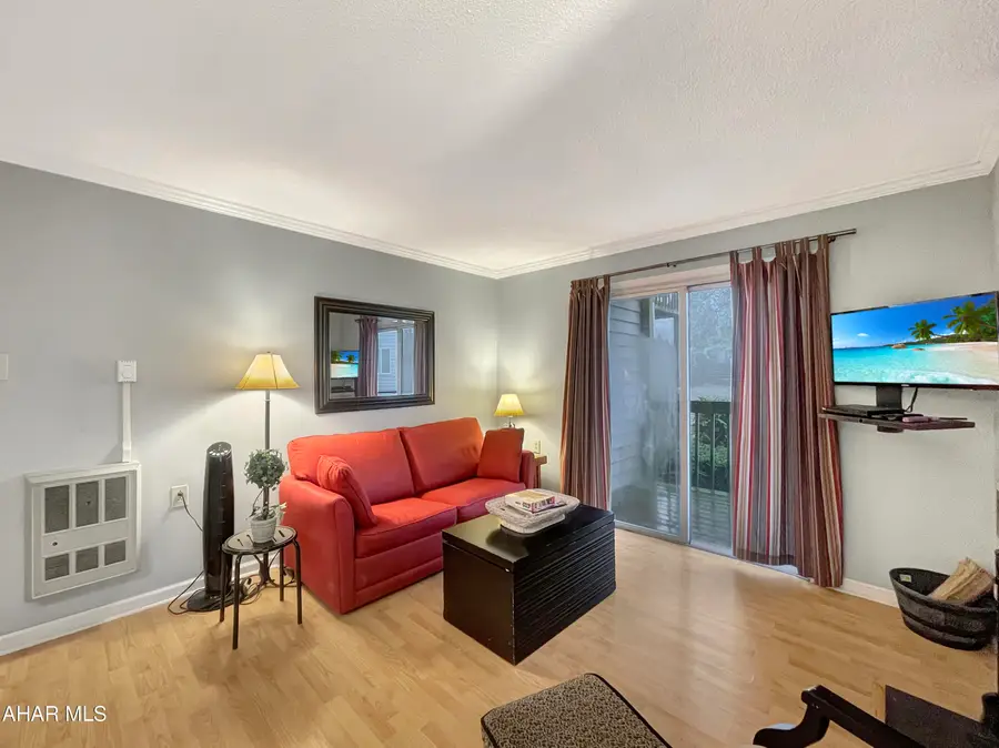 185 E Valley Point B101 Lane, Claysburg, PA 16625 - #2