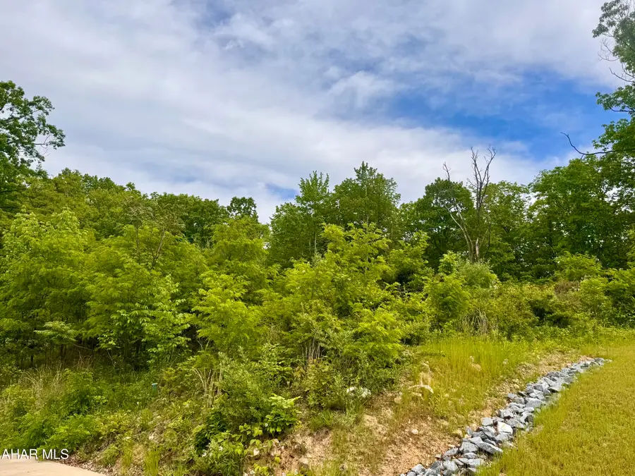 718 Brush Oaks Drive, Altoona, PA 16602 - #2