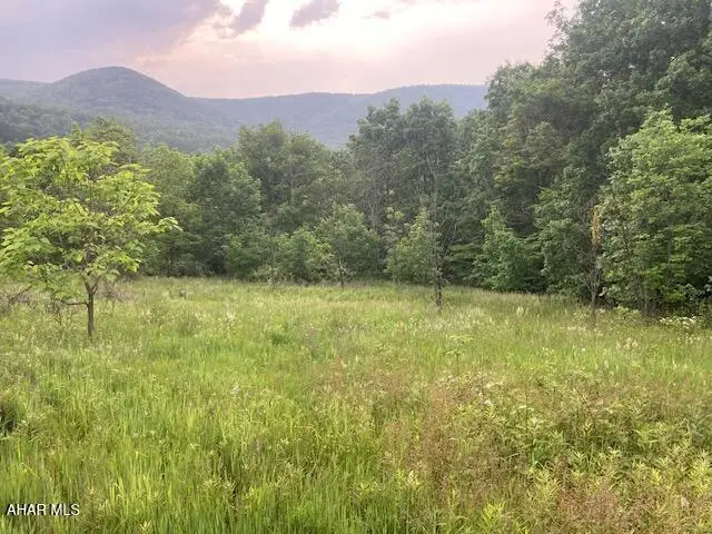 Parcel B Lockards Lane, Claysburg, PA 16625 - #1