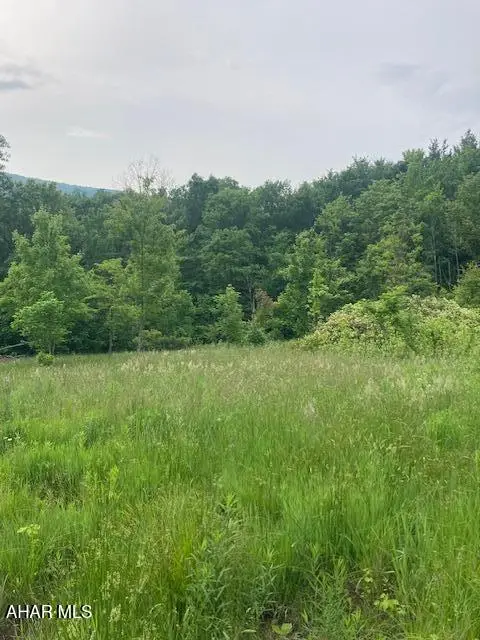 Parcel B Lockards Lane, Claysburg, PA 16625 - #3