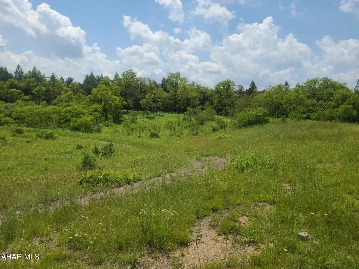 00 Mountain Dale Road, Fallentimber, PA 16639 - #1