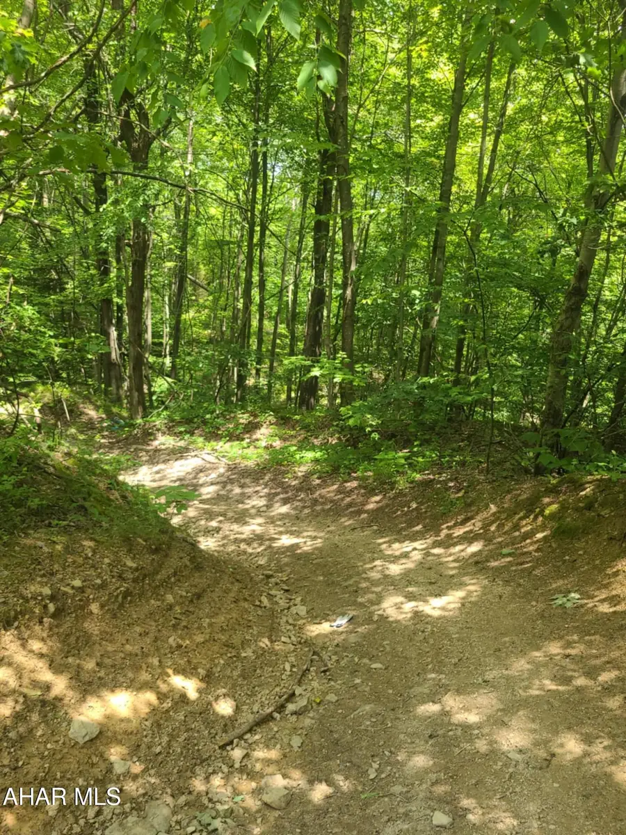 00 Mountain Dale Road, Fallentimber, PA 16639 - #2