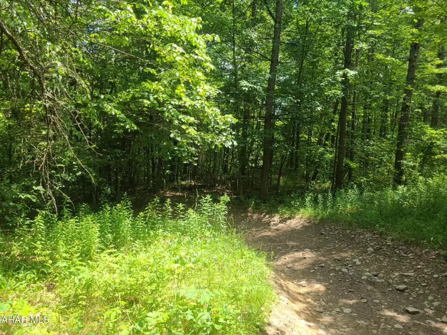 00 Mountain Dale Road, Fallentimber, PA 16639 - #3
