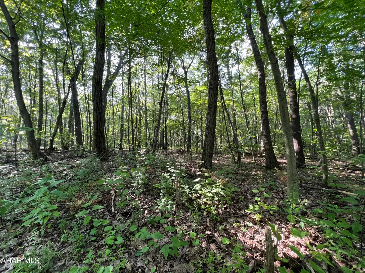 117 & 118 Kittanning (overland Pass) Run, Claysburg, PA 16625 - #1