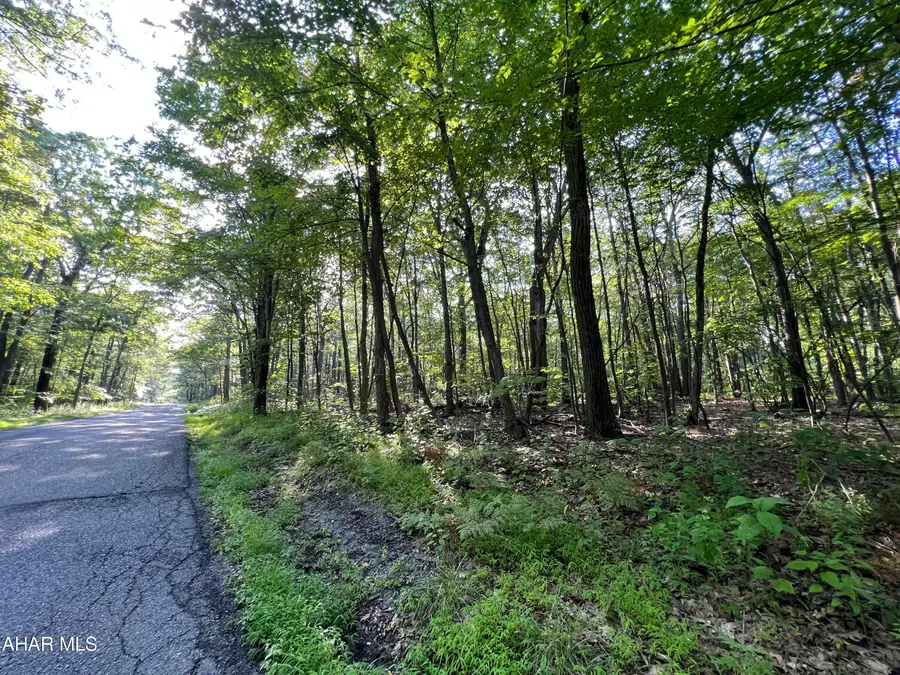 117 & 118 Kittanning (overland Pass) Run, Claysburg, PA 16625 - #3