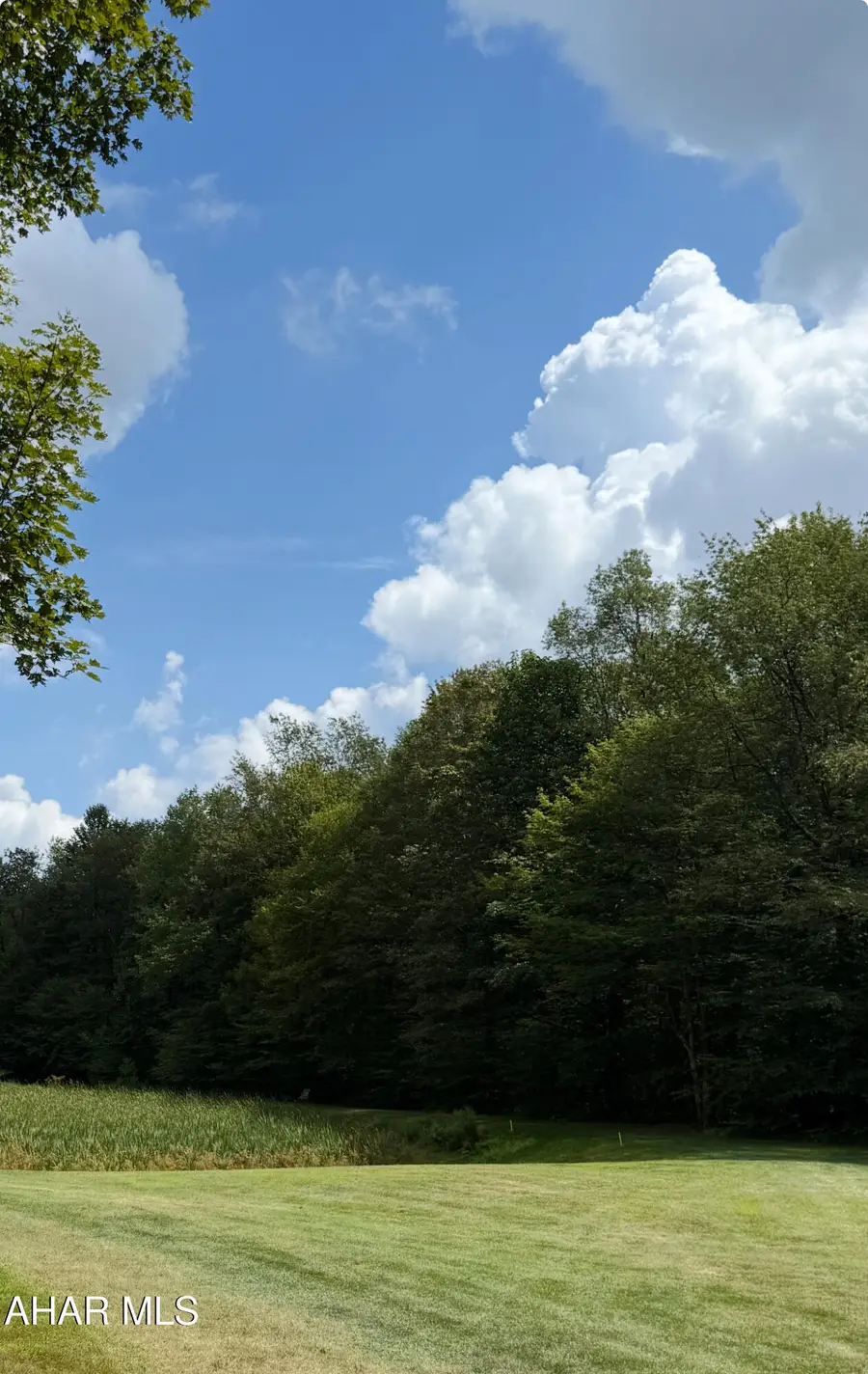 000 Timberman Road, Claysburg, PA 16625 - #2