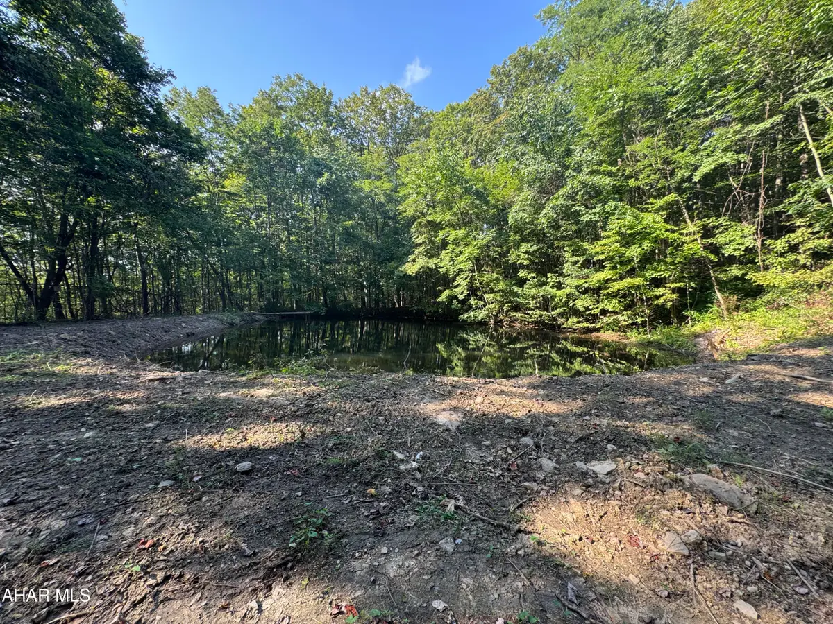 0 Gallitzin (robbins St) Road, Gallitzin, PA 16641 - #1