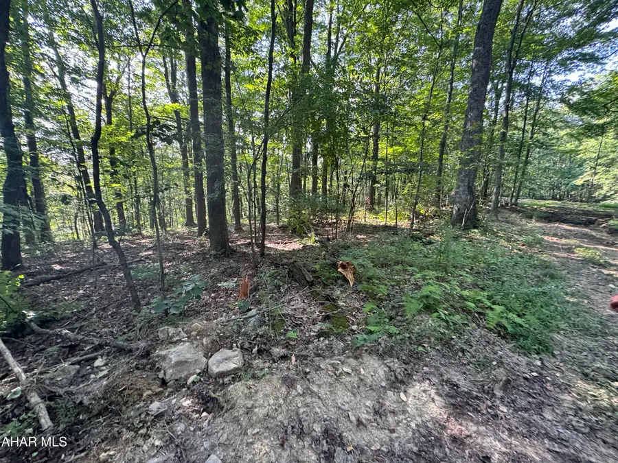 0 Gallitzin (robbins St) Road, Gallitzin, PA 16641 - #3