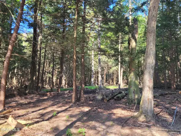 0 Eagle Crest Lane, Flinton, PA 16640