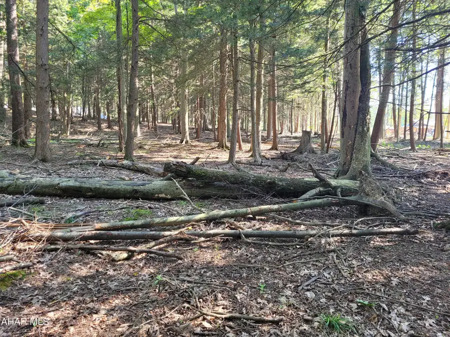 0 Eagle Crest Lane, Flinton, PA 16640 - #2