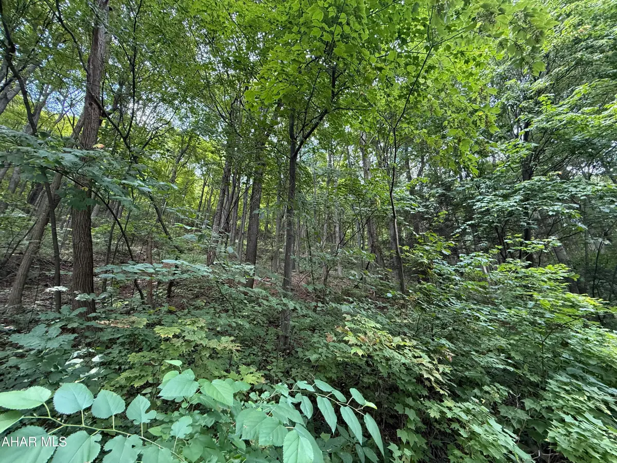 Lot 20 Kittanning (overland Pass) Run, Claysburg, PA 16625 - #1