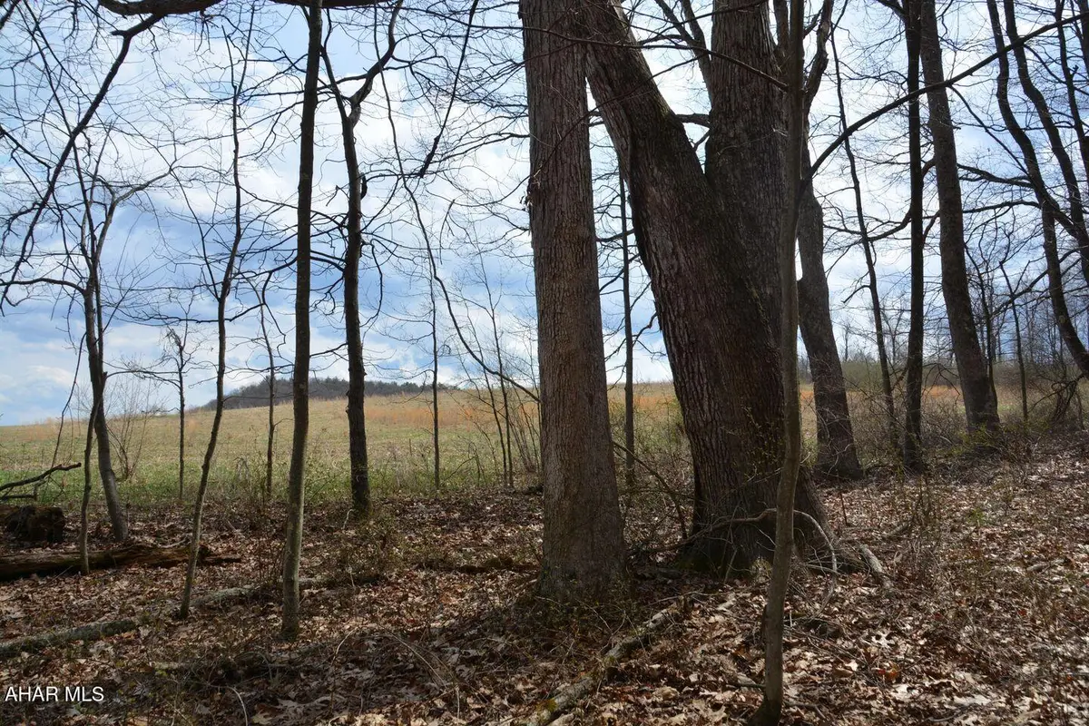 0 Akers Road, Clearville, PA 15535 - #1