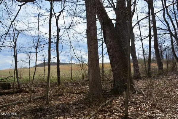 0 Akers Road, Clearville, PA 15535