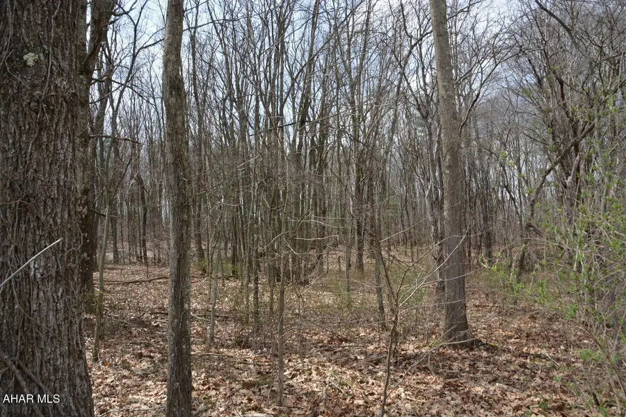 0 Akers Road, Clearville, PA 15535 - #3