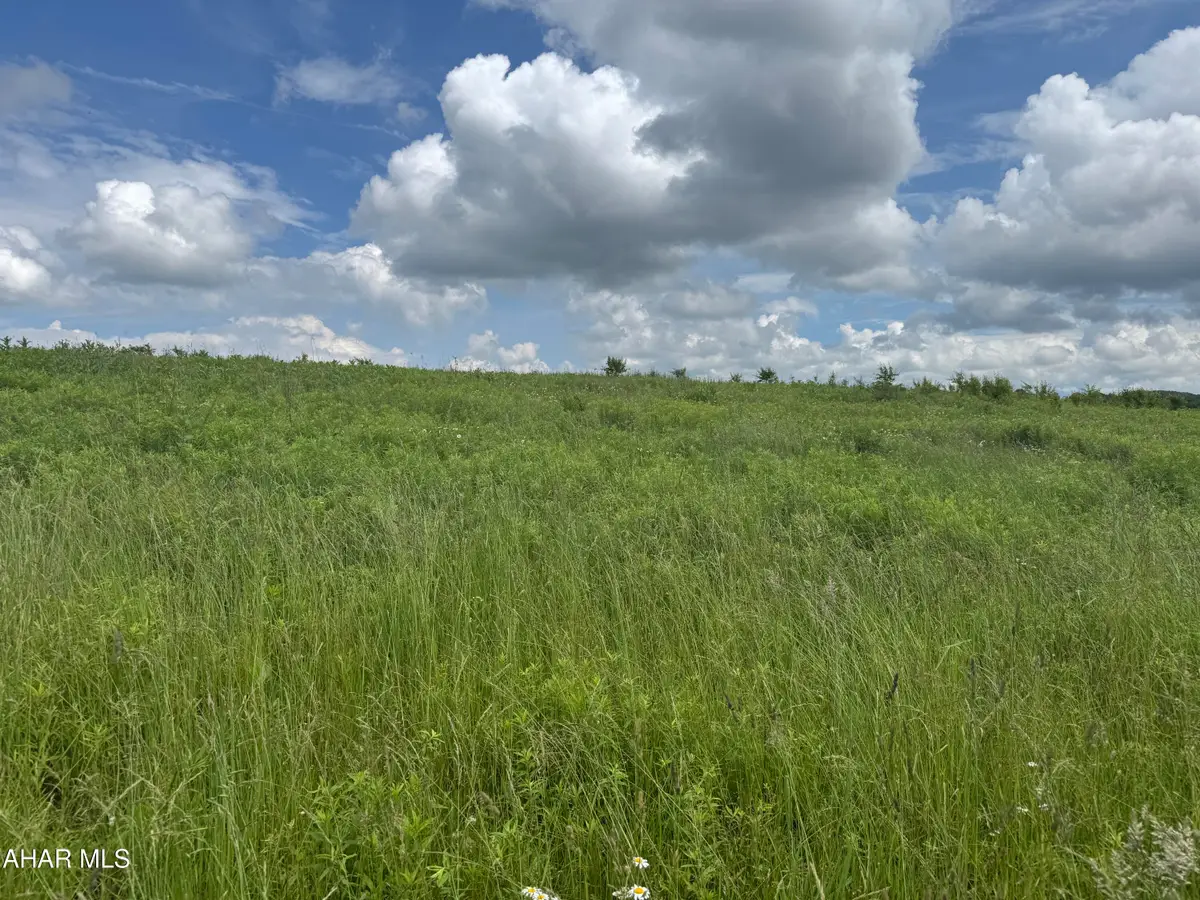 0 Beck Road, Loretto, PA 15940 - #1