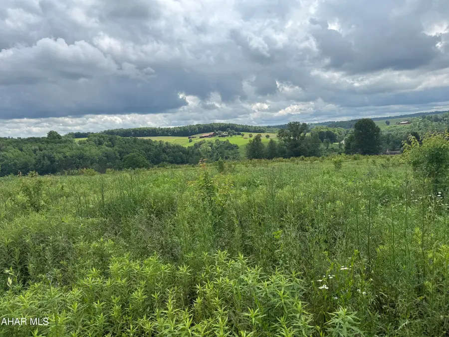 0 Beck Road, Loretto, PA 15940 - #2