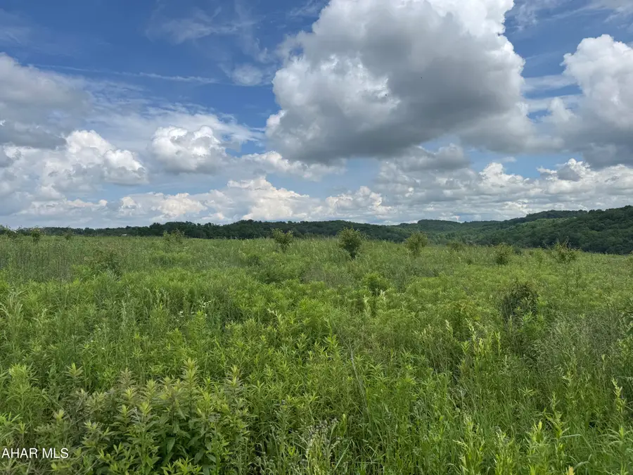 0 Beck Road, Loretto, PA 15940 - #3