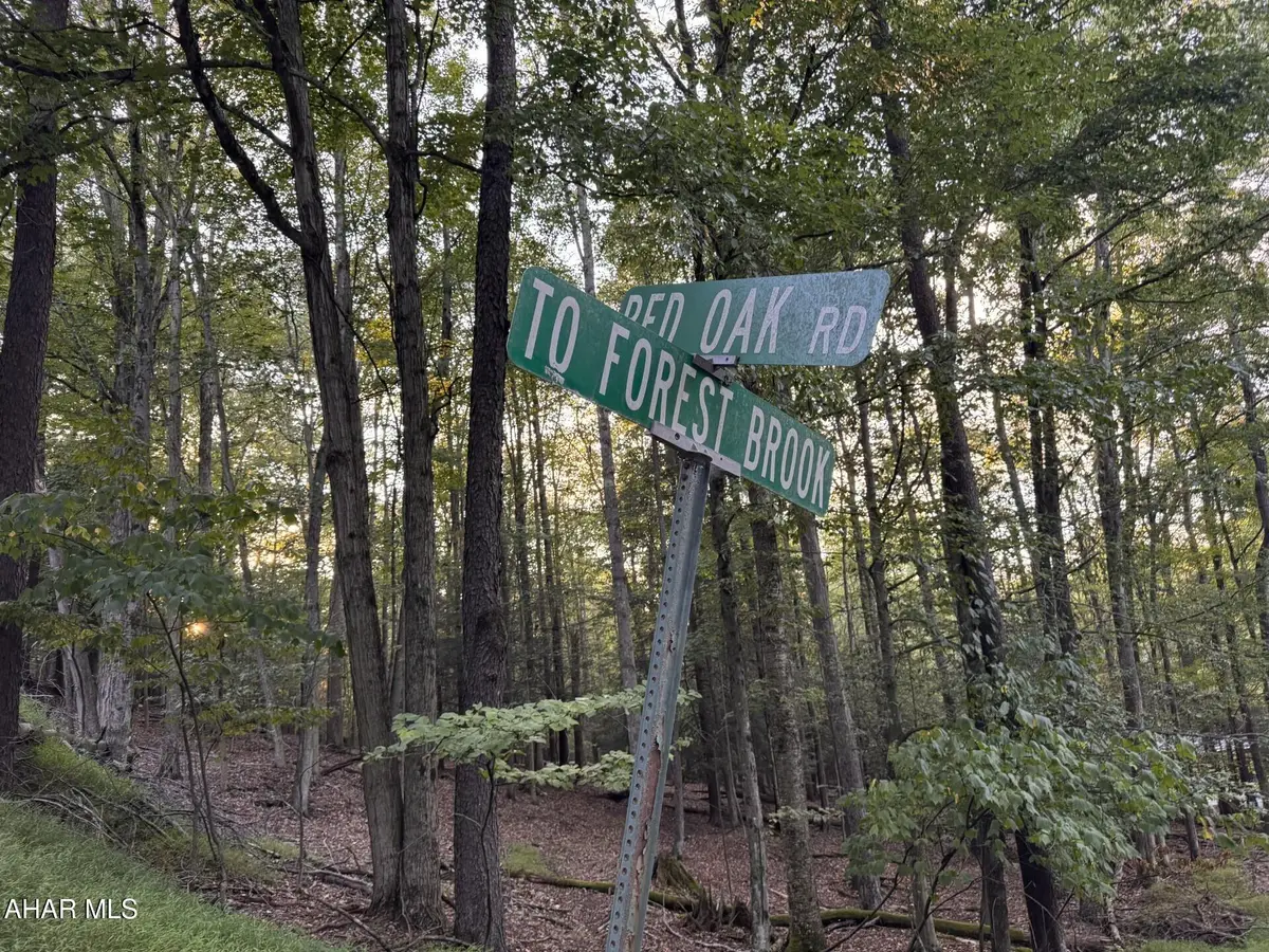 250 & 258 Red Oak Road, Flinton, PA 16640 - #1