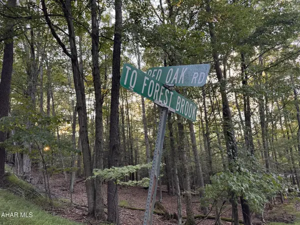 250 & 258 Red Oak Road, Flinton, PA 16640