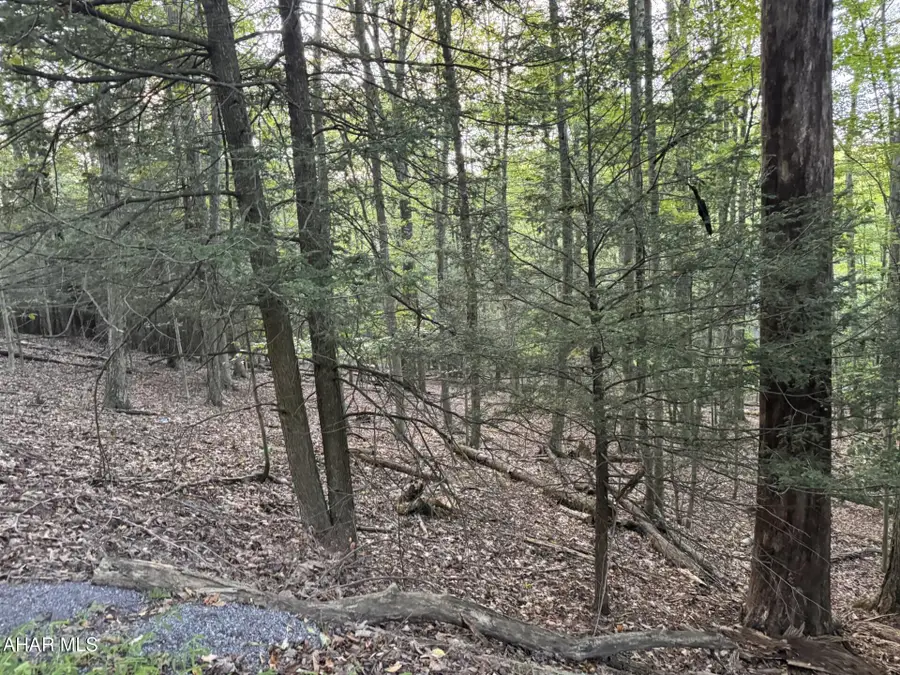 250 & 258 Red Oak Road, Flinton, PA 16640 - #2