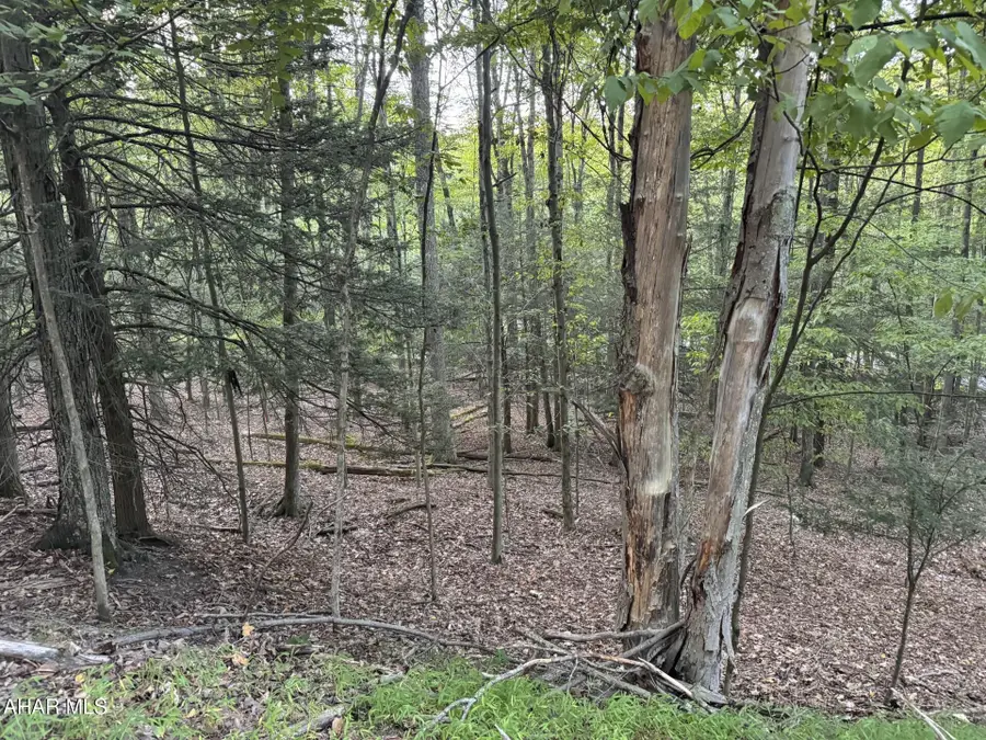 250 & 258 Red Oak Road, Flinton, PA 16640 - #3