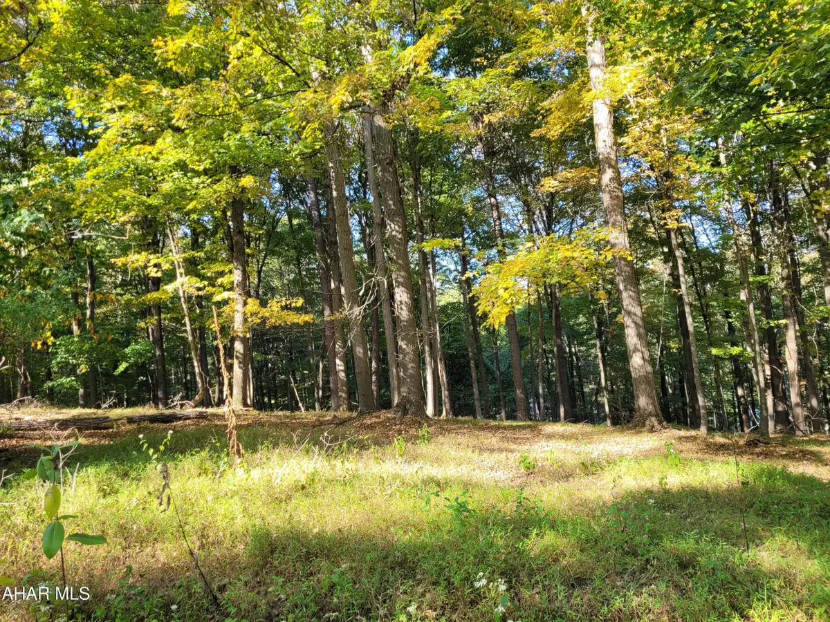 T180 Christopher Road, Flinton, PA 16640 - #1