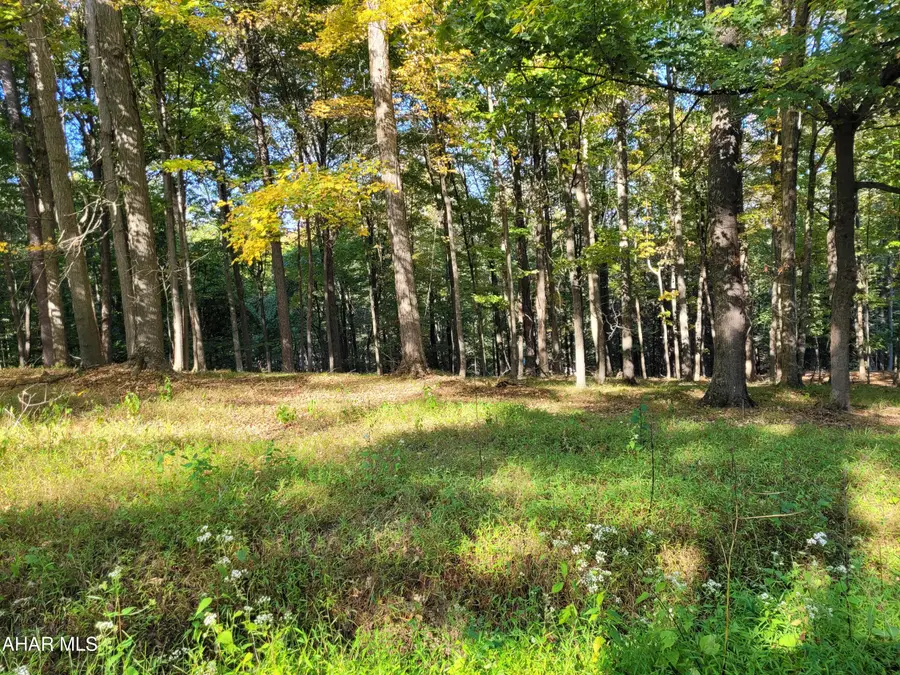 T180 Christopher Road, Flinton, PA 16640 - #3