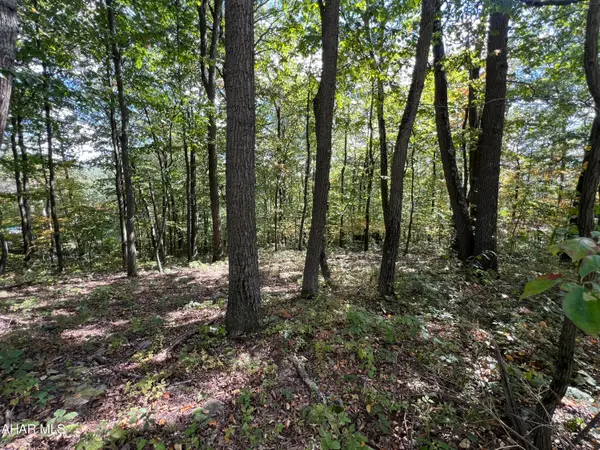 Lot 31 Woodlawn Drive, Crystal Spring, PA 15536